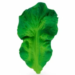 Kendall Le Chou Frisé De Dentition - Oli & Carol