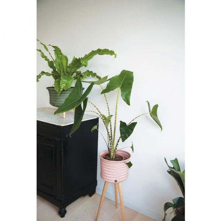 Cache-pot Up Mid - Handed By – Image 8