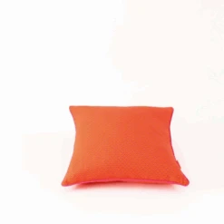 Coussin Carré - Zazen Tangerine Petit Pan