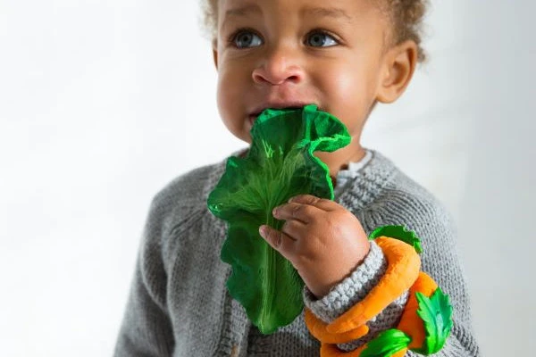 Kendall Le Chou Frisé De Dentition - Oli & Carol – Image 3