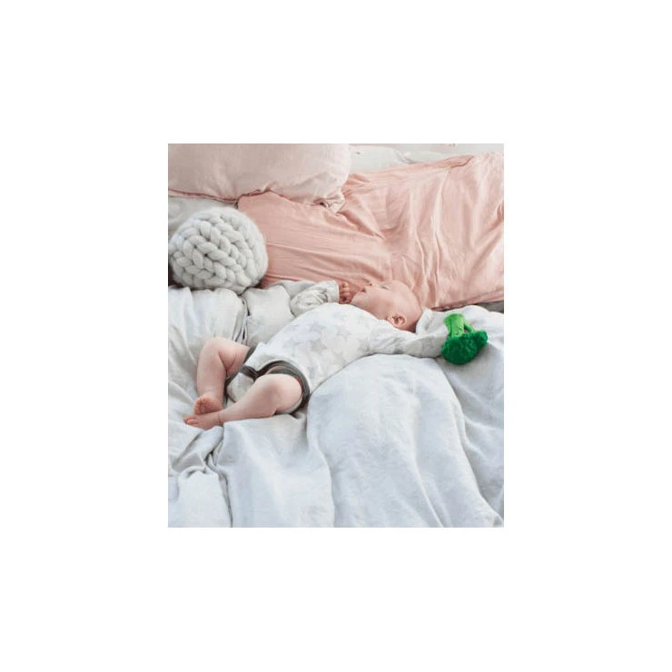 Brucy Le Brocoli De Dentition - Oli & Carol – Image 4