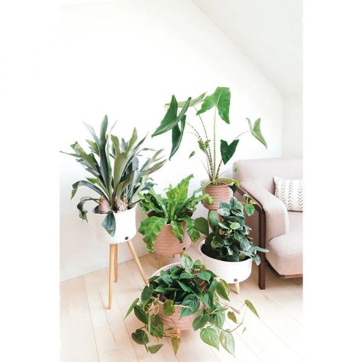 Cache-pot Up Mid - Handed By – Image 7