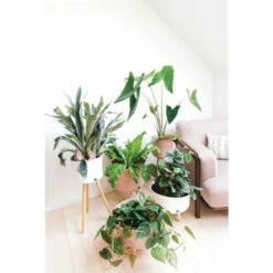 Cache-pot Up Hight - Handed By