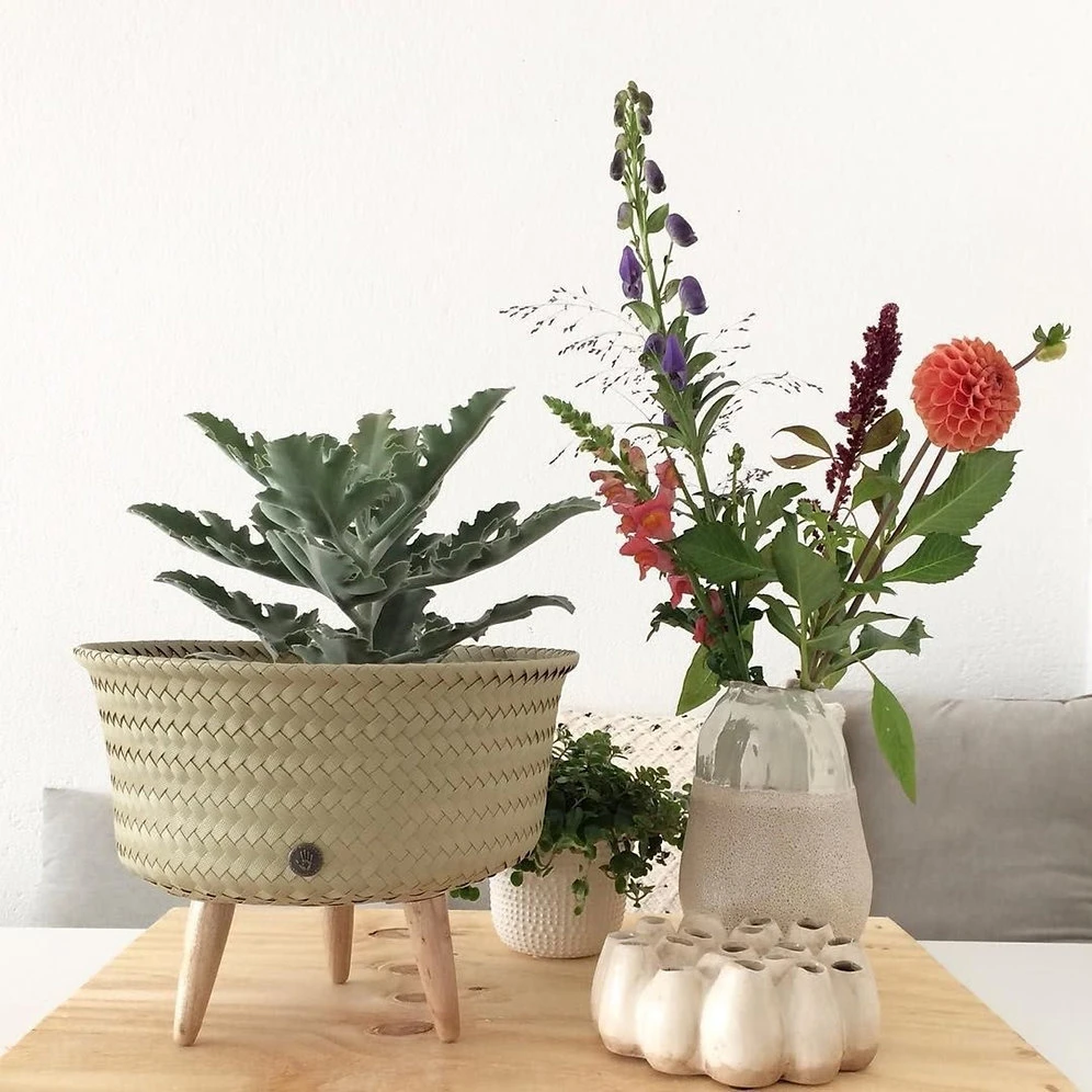 Cache-pot Up Mid - Handed By – Image 9