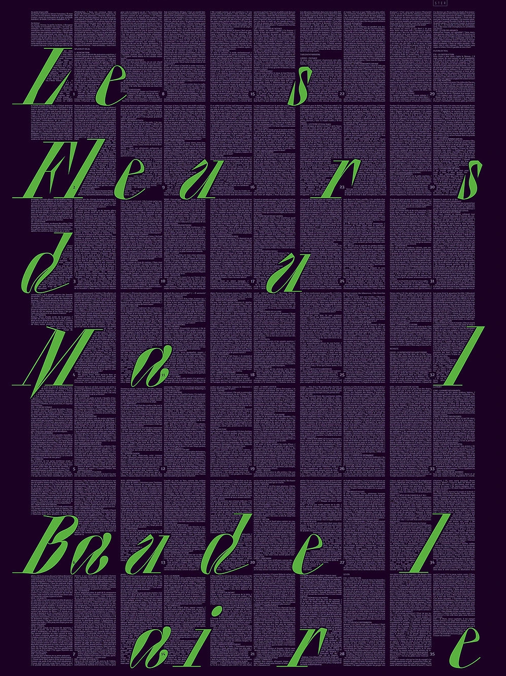 Poster Littéraire - Livre Affiche - Bookster – Image 7